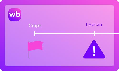 Как стартовать на Wildberries и не провалиться через месяц?