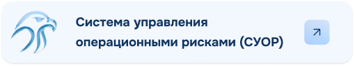 Система управления операционными рисками